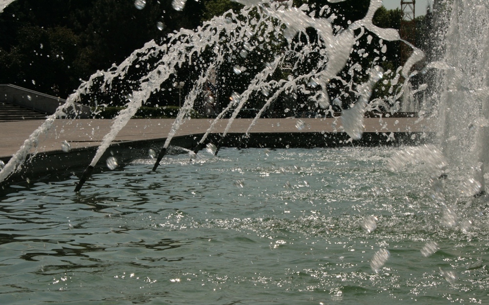 În atenția agenților economici, gestionarilor piețelor autorizate, Centrelor Comerciale, obiectivelor de alimentație publică, unităților comerciale și de prestări servicii din municipiul Chișinău