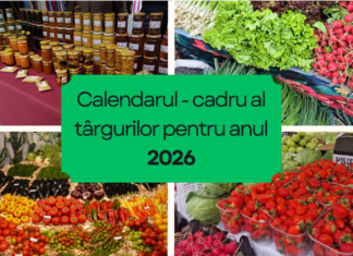 Aprobarea Calendarului – cadru al târgurilor organizate în municipiul Chișinău pentru anul 2026