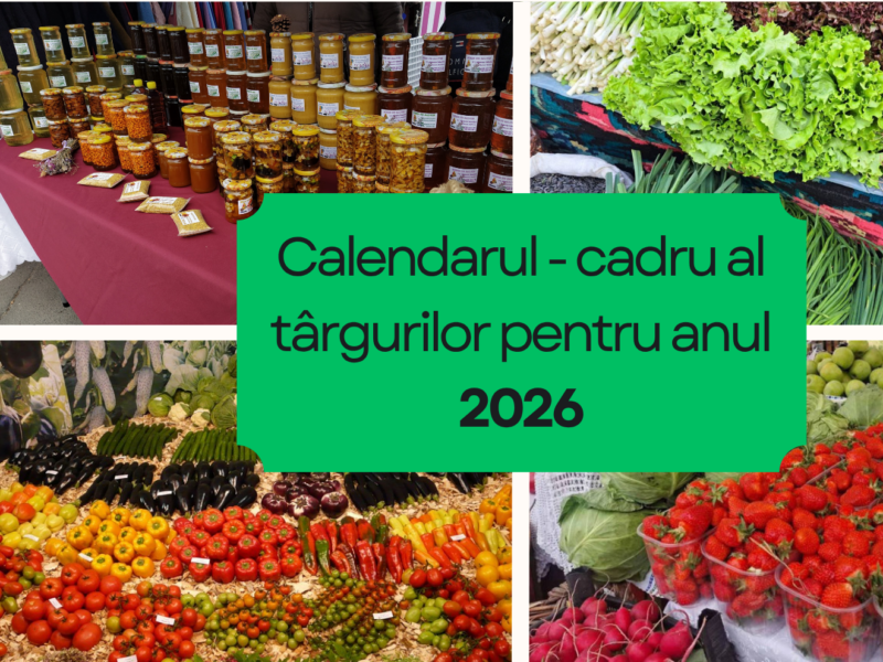 Aprobarea Calendarului – cadru al târgurilor organizate în municipiul Chișinău pentru anul 2026