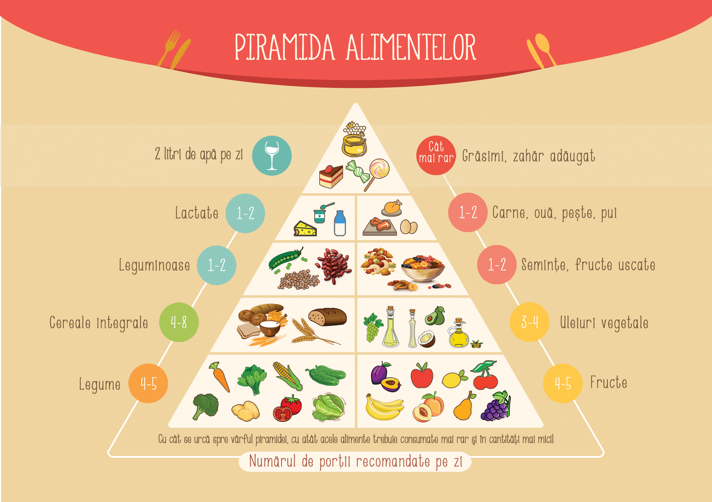 piramida_alimentelor